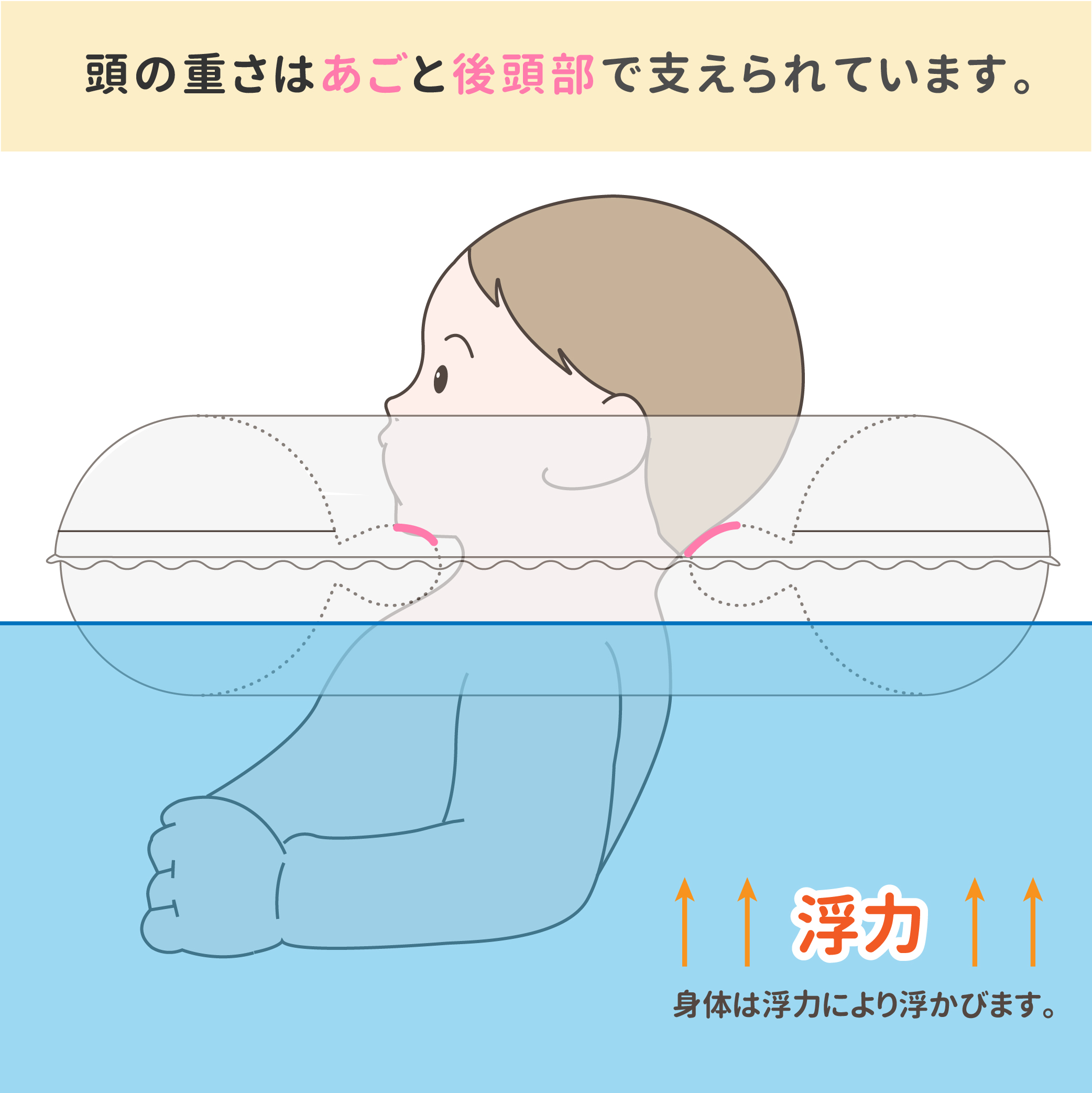 首リングの構造について